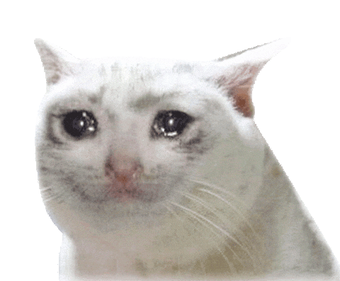 cat crying